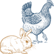 Птица и Кролик